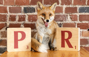 Pressearbeit für die Veranstaltungswirtschaft