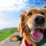 shutterstock_407893192-min