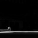 Soloselbstständiger