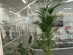 Innenraumbegrünung für Großraumbüros und Chefzimmer