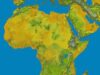 Africa Business Forum: Geschäftschancen zwischen Deutschland und Afrika